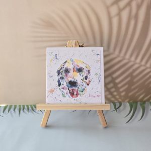 Dog Cards - 6" x 6"